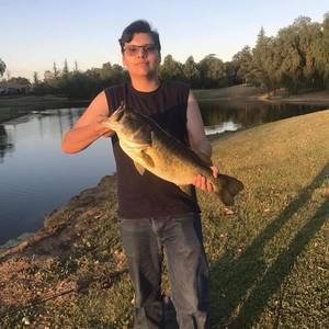 Meet your Posher, Joseph